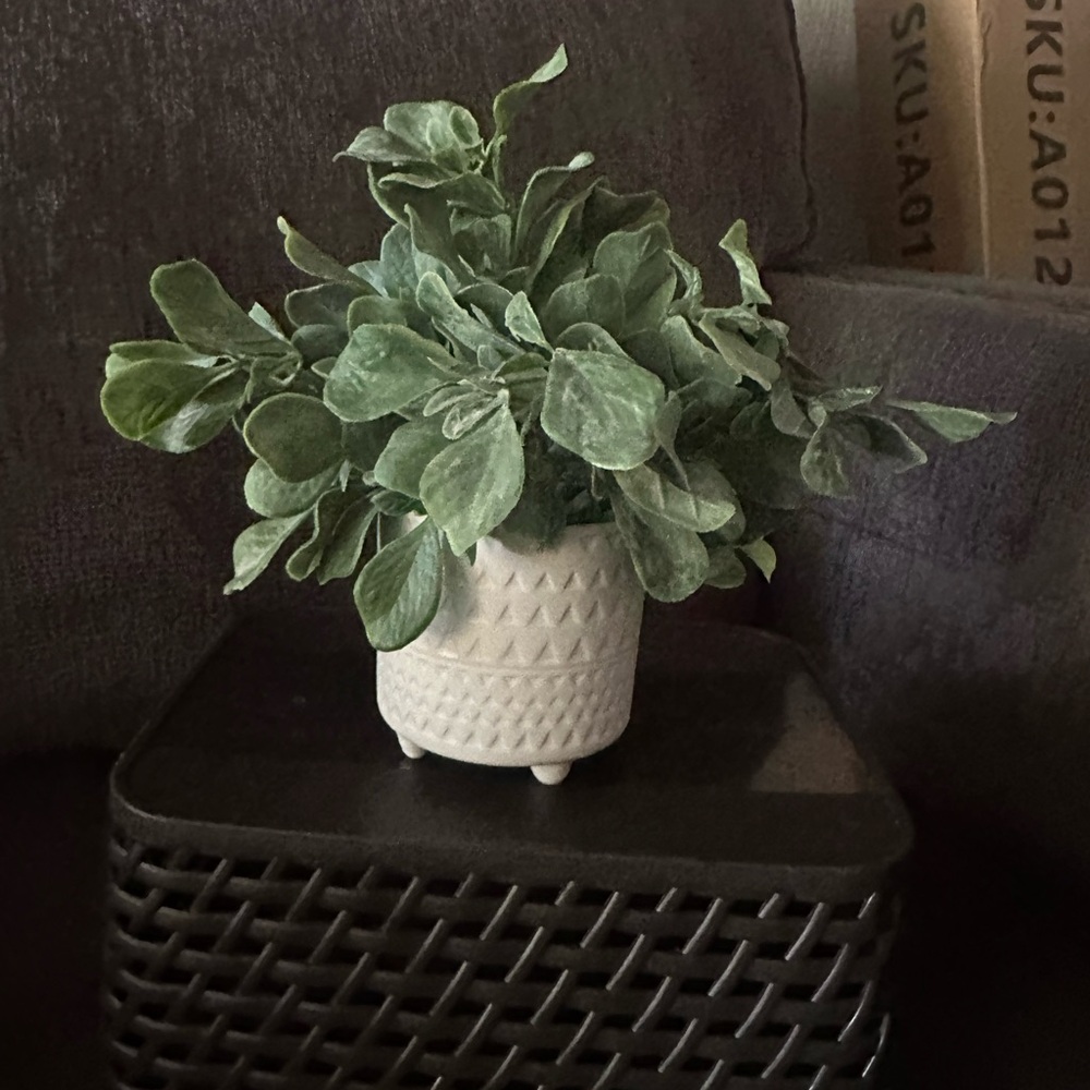 Faux Greenery in White Textured Ceramic Planter - Home Accents